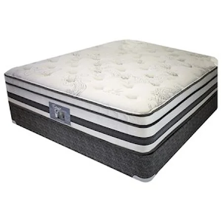 Queen 14 1/2" Euro Top Innerspring Mattress and 9" Wood Foundation